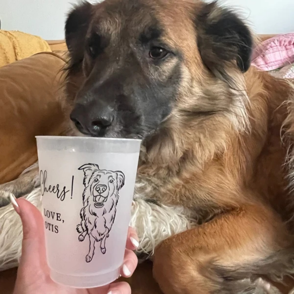 10/50 Personalized Senior Phot - Plastic Cup 50Pcs review and price